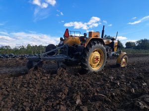 Ursus C-328/30 + pług dwuskibowy Unia Grudziądz 