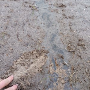 Woda nie wsiąka w ziemie