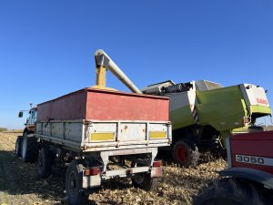 Żniwa kukurydziane 2025