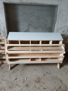 gniazda dla kur niosek 