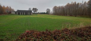 Jęczmień ozimy Sandra 