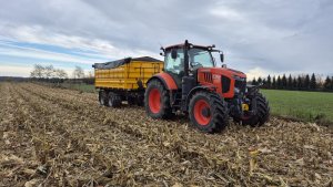 Kubota M7152 + tandem Wielton - żniwa kukurydzanie 11 listopada 2025