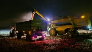 kukurydziane dożynki 2025