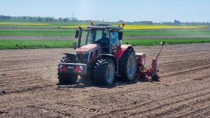 Massey Ferguson 7s.190 + Gaspardo