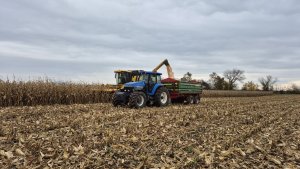 New Holland CSX 7040 i 8770A - żniwa kukurydziane 11 listopada 2025