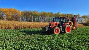 Odchwaszczanie rzepaku ozimego - 8 listopada 2025