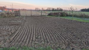 ogródek przygotowany na zimę 