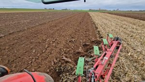 Orka słomy kukurydzianej na raz