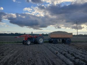 Ursus C-355 i Autosan