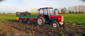 Ursus C-360 i Czarna Białostocka