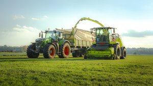 Najlepsze z najlepszych - Tapety