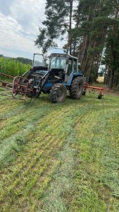 Zobacz grafikę Landini