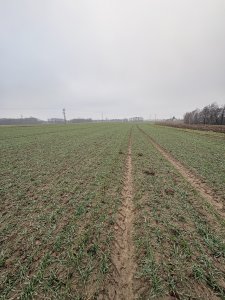 Zobacz grafikę RGT Metronom