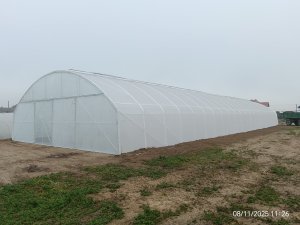 Zobacz grafikę Tunel foliowy