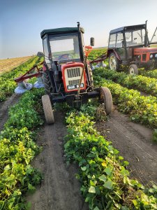 Ursus C-330 & Zetor 5211