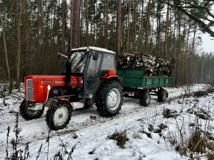 Ursus c355 , Sanok d35