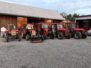 Zobacz grafikę Ursusy