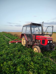 Zetor 5211 kosiarka rotacyjna koszenie fasoli