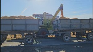 Żniwa kukurydziane x2 d47, Claas dominator 68s