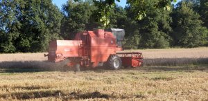 Zobacz grafikę Bizon rekord