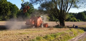 Zobacz grafikę bizon rekord