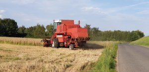 Zobacz grafikę Bizon super