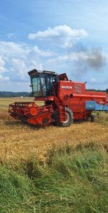 Zobacz grafikę Bizon Z056