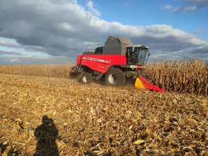 Massey Ferguson activa 7347s