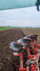 Zobacz grafikę Orka