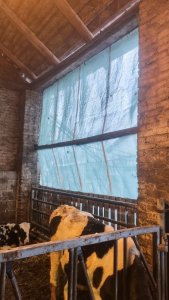 Zobacz grafikę Siatka pryzmowa