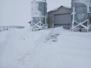 Zobacz grafikę Śnieg na 60 cm