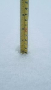 Zobacz grafikę Śnieg