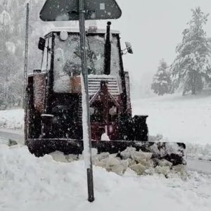 Zobacz grafikę Ursus