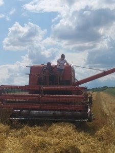 Zobacz grafikę Żniwa 2025