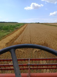 Zobacz grafikę Żniwa 2025