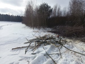 Zobacz grafikę Łąka