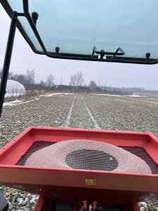 Zobacz grafikę Rzepak DK Exima