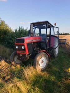 Zobacz grafikę Ursus