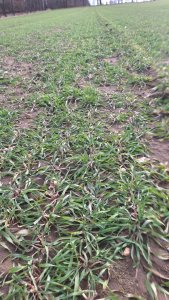 Zobacz grafikę SU ATUM