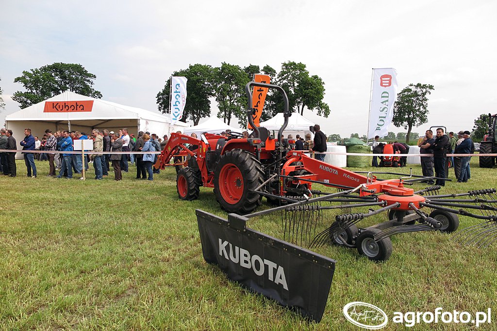 Czym w pole do zbioru zielonek?