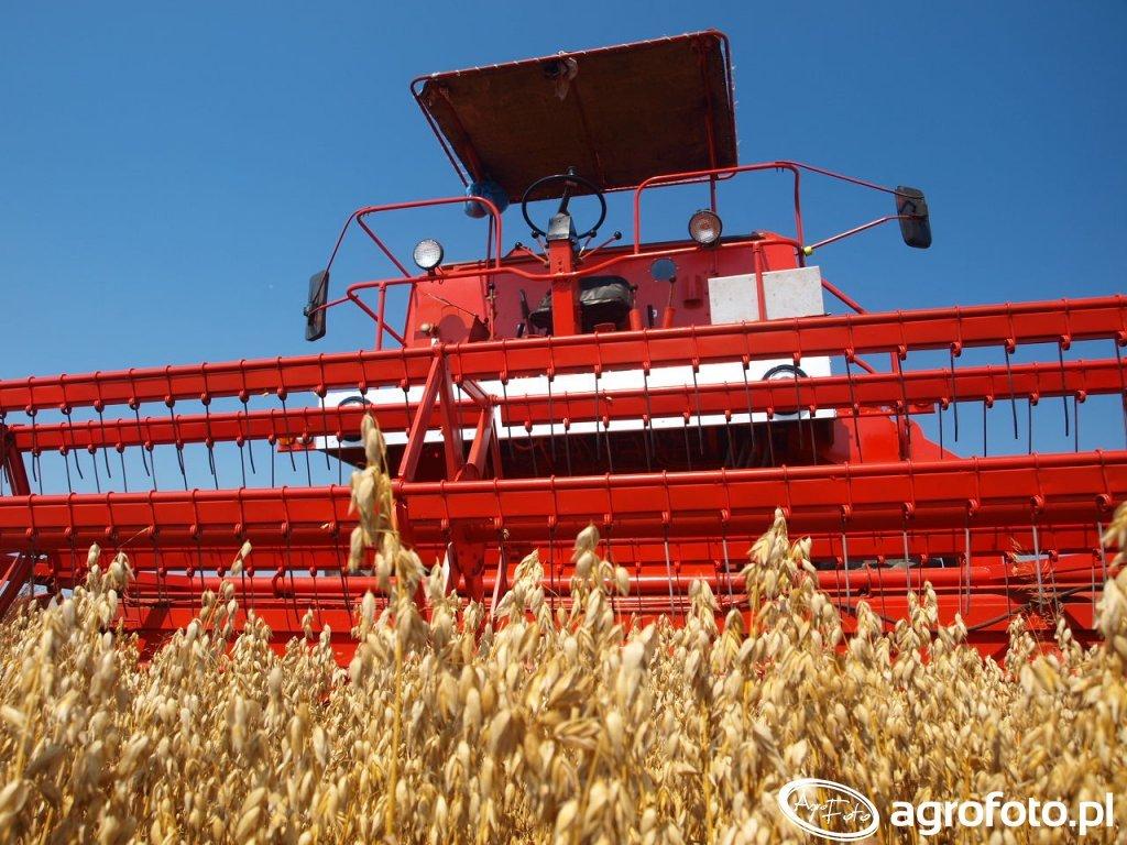 BIZON -Najpopularniejsze modele