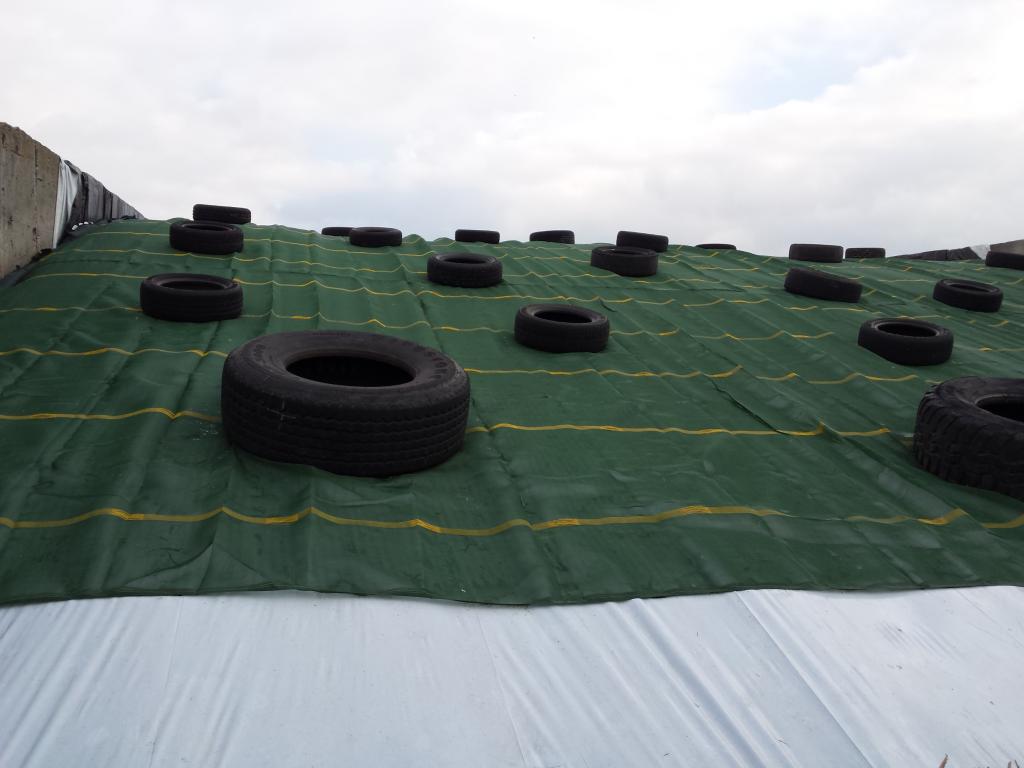 Jak uniknąć strat przy przygotowywaniu kiszonki?