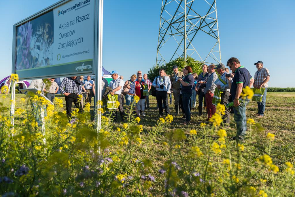 Gwiazdy Syngenta – Moddus, Axial, Symetra – na polach klasy S w Rogóźnie