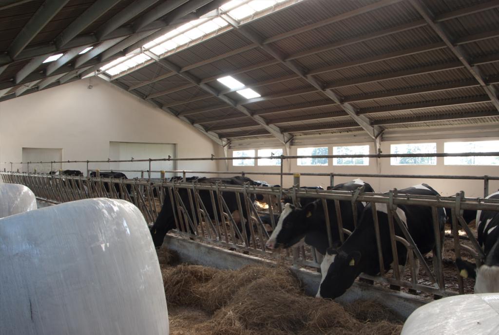 Jaki ciągnik do gospodarstwa mlecznego?