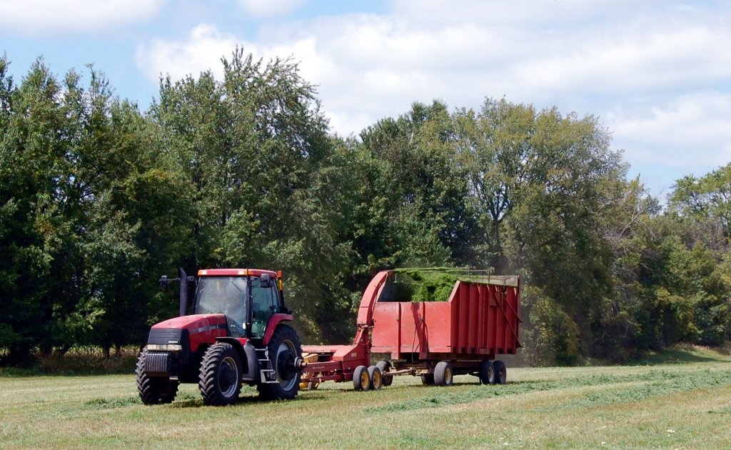 Jak ograniczyć straty w produkcji kiszonek?