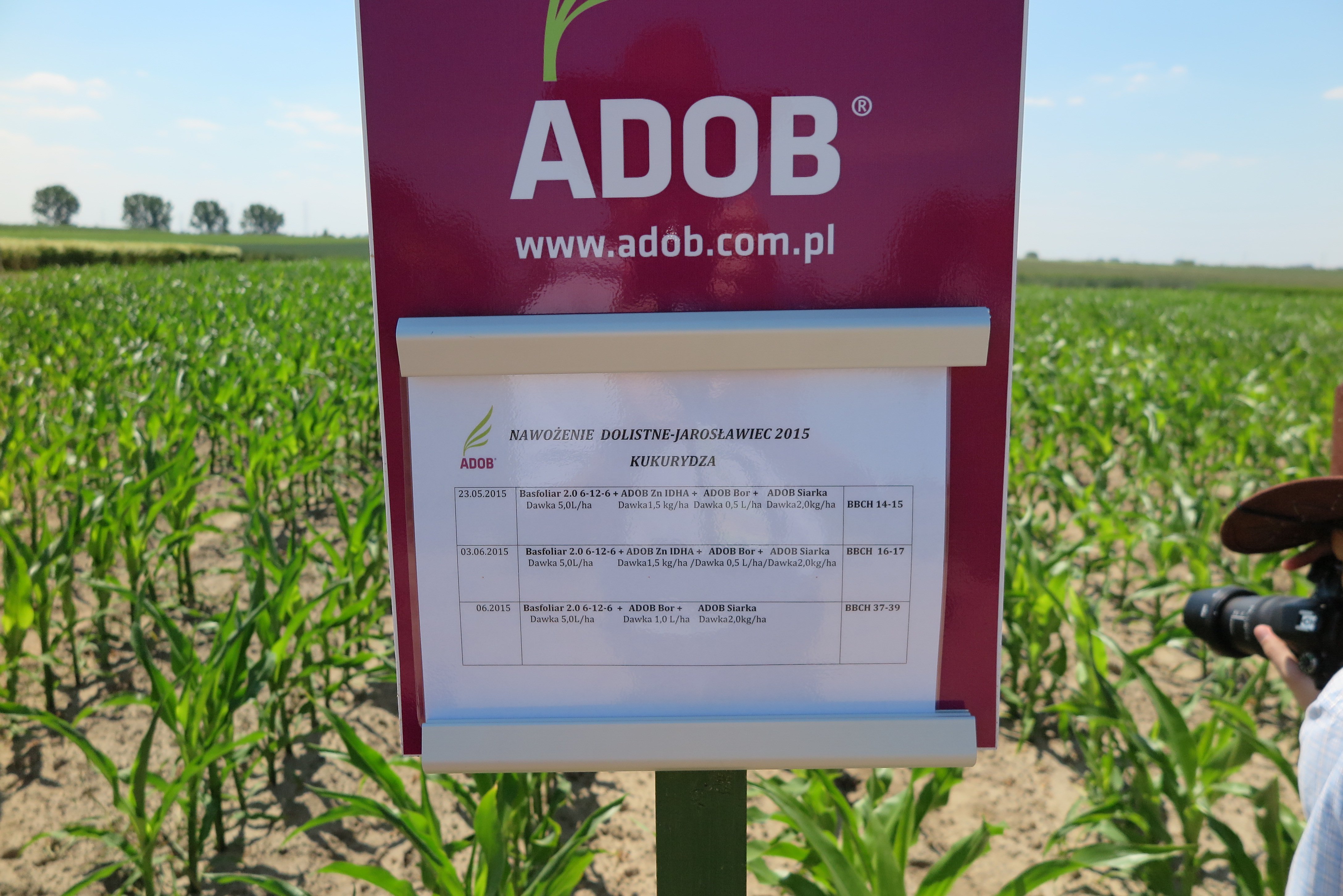 BASF i kukurydza w Jarosławcu