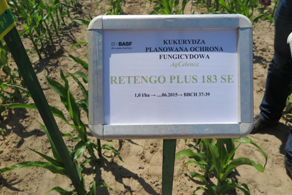 BASF i kukurydza w Jarosławcu