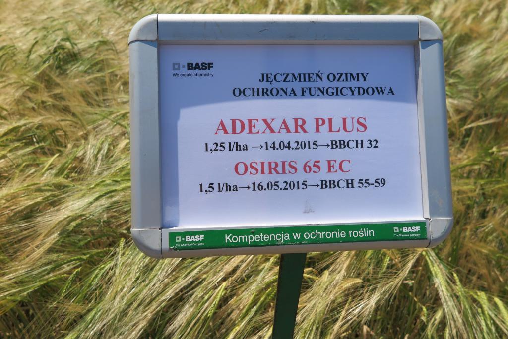 Specjaliści BASF o jęczmieniu ozimym