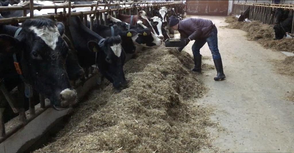 Jak sprawdzić jakość przygotowanego TMR-u?