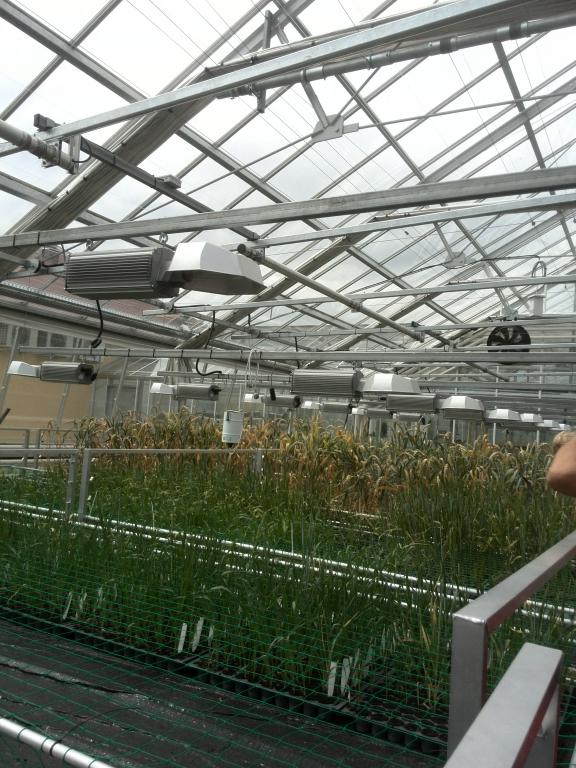 Strzeleckie Dni Pola